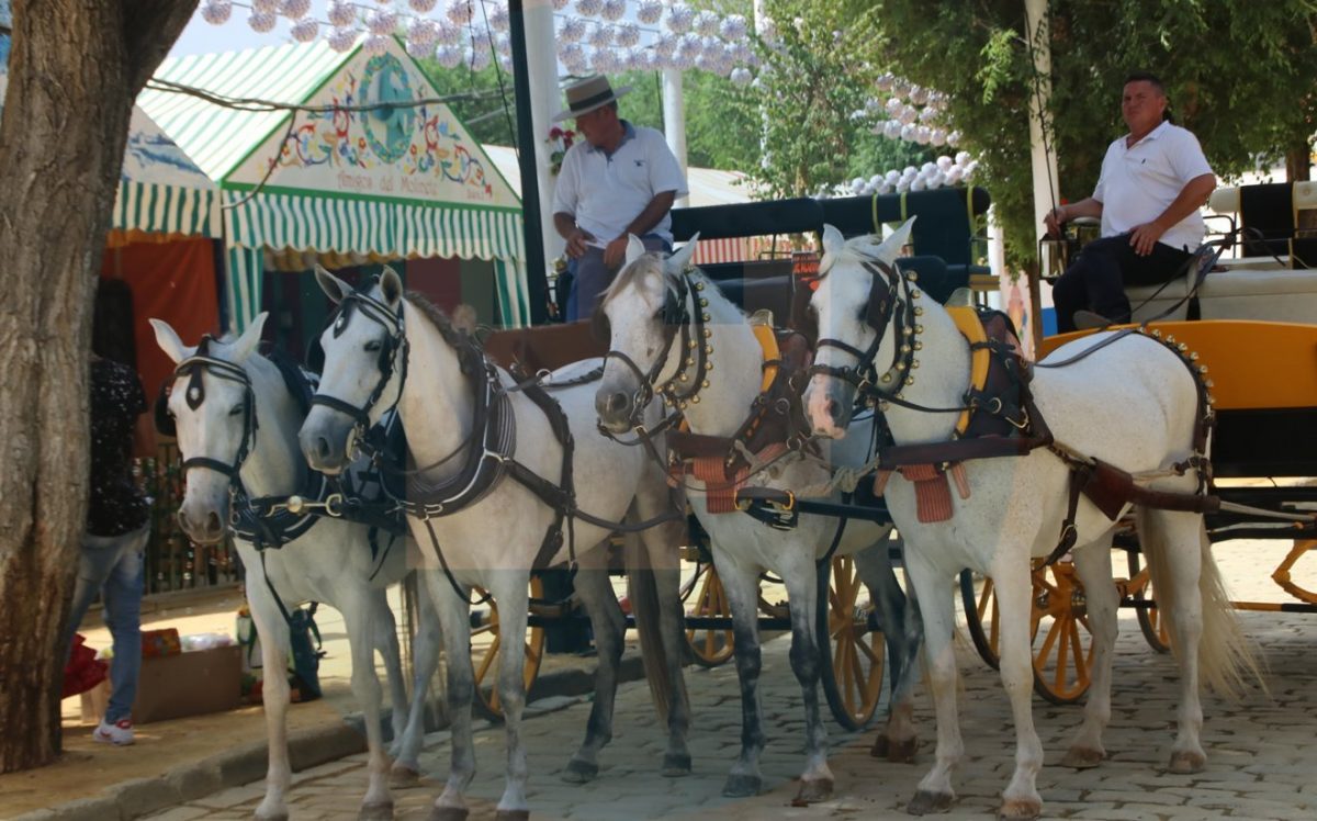 Feria de Alcalá 2017