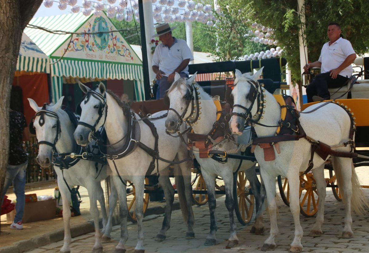 Feria de Alcalá 2017