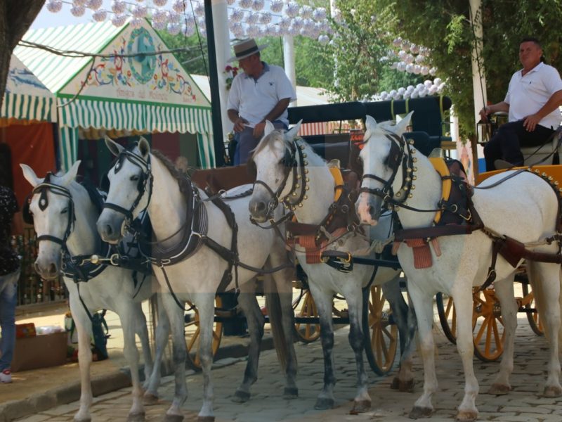 Feria de Alcalá 2017