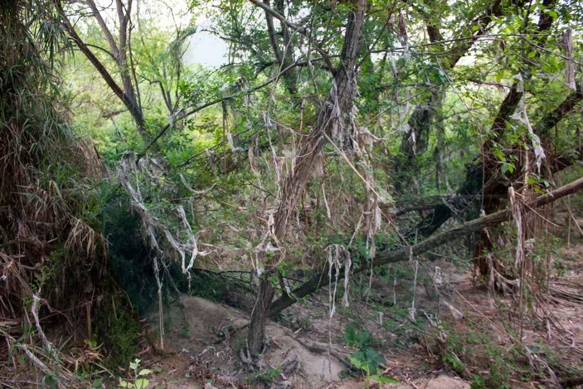 Suciedad Río Guadaira