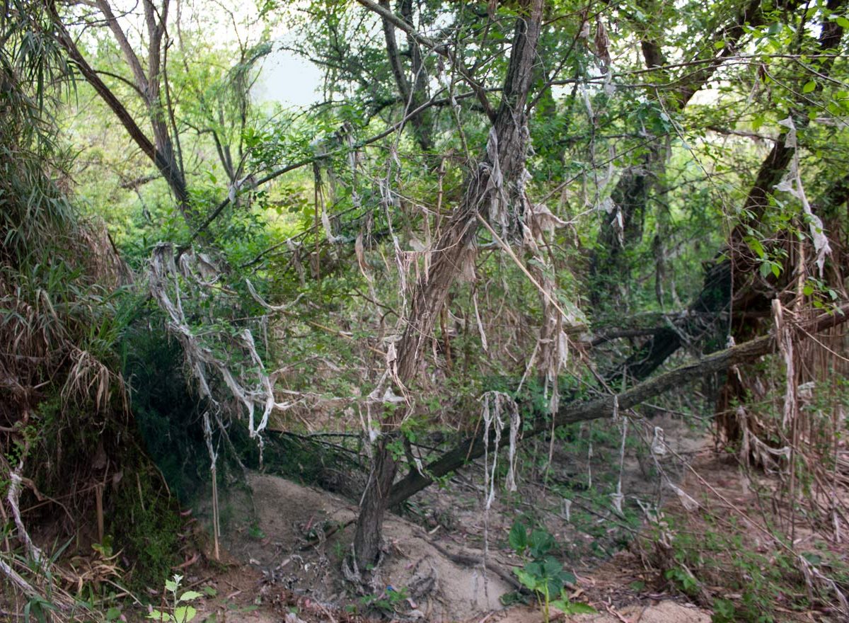 Suciedad Río Guadaira