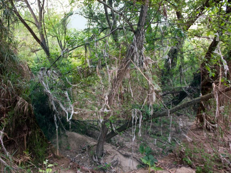 Suciedad Río Guadaira