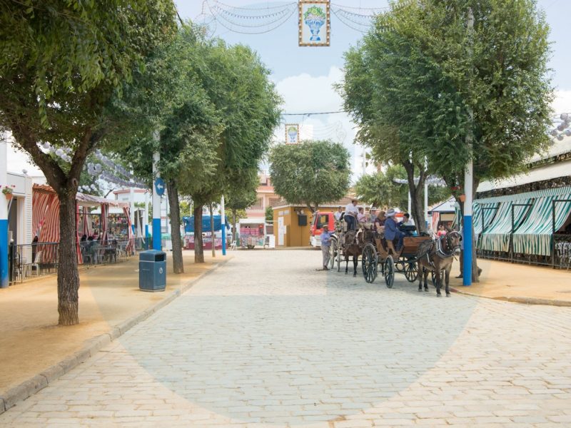 Ambiente de feria domingo