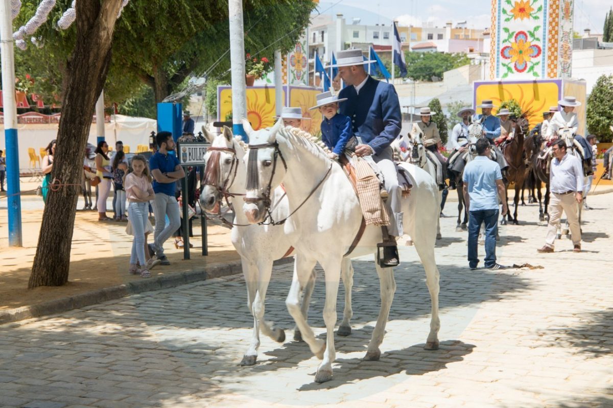 Desfile