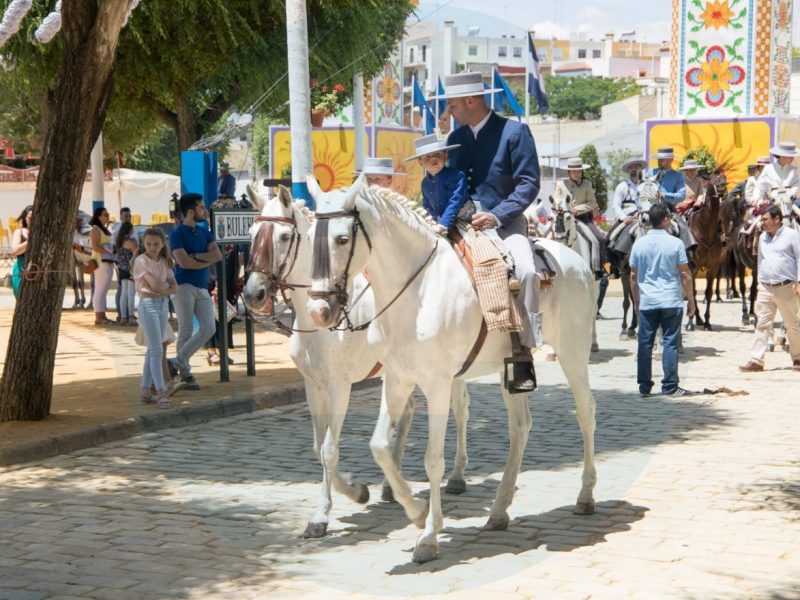 Desfile