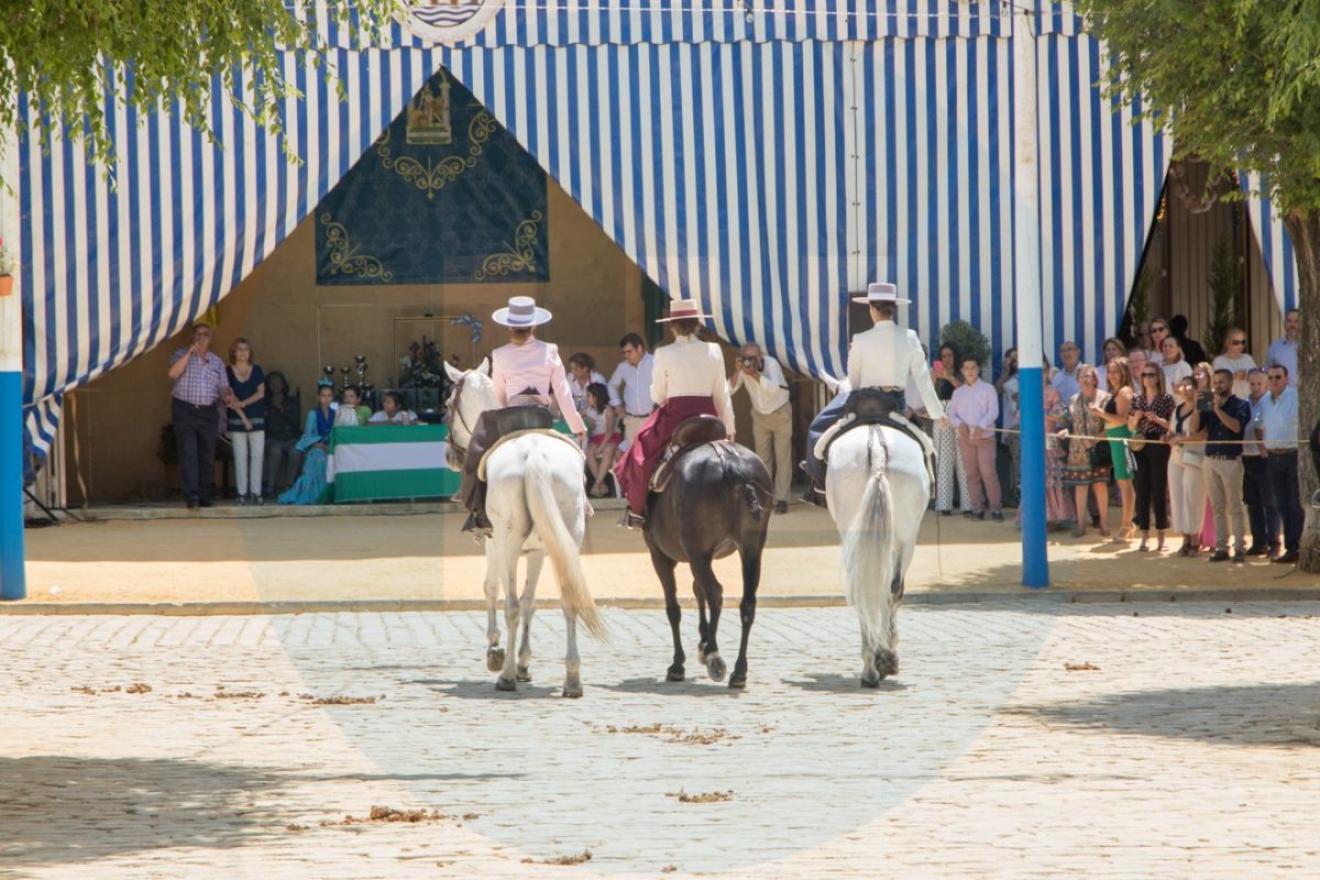 Desfile