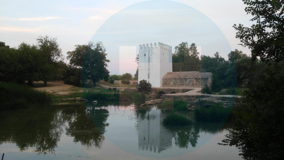 ste programa municipal de difusión del patrimonio a través de visitas guiadas gratuitas pasará estas próximas semanas por el Convento de Santa Clara, el cementerio de San Mateo y el IES Cristóbal de Monroy en su 50º aniversaro Alcalá de Guadaíra, a 25 de octubre de 2018 El Ayuntamiento de Alcalá de Guadaíra inicia este sábado 27 de octubre la XVII edición del programa de visitas guiadas gratuitas para la difusión de su patrimonio local, Paseando por Alcalá, que este año tocará desde la vida der los antiguos molineros, a la historia del Convento de Santa Clara, el Cementerio de San Mateo o el IES Cristóbal de Monroy en su 50º aniversario. La delegada municipal de Patrimonio Histórico, María de los Ángeles Ballesteros, recuerda que “el patrimonio alcalareño es muy extenso en diversos ámbitos, desde el histórico y monumental, al natural, arquitectónico, religioso, cultural o folclórico y todos ellos han de valorarse y protegerse, para lo que es previamente necesario su conocimiento, puesta en valor y difusión, origen de propuestas municipales como ésta”. Todas las visitas son de participación libre y gratuita, sin necesidad de inscripción previa y se celebran los sábados desde las 11:30 horas de la mañana. La primera ruta tendrá lugar este próximo 27 de octubre bajo la denominación ‘Paseo en busca de los antiguos molineros’, iniciativa incluida en el programa de las Jornadas Europeas de Patrimonio, que partirá desde el emblemático edificio La Harinera del Guadaíra dirigida por el historiador local Francisco López Pérez. Coincidiendo con la celebración del día de los difuntos, el sábado 3 de noviembre, se ha organizado el ‘Paseo por el Cementerio de San Mateo’ en el que se une arquitectura y tradiciones, para el que se contará con la colaboración como guía del arquitecto Antonio García Calderón. Ya el sábado 10 de noviembre, este programa de divulgación cultural llegará al Convento de Santa Clara, donde el pintor Claudio Hoyos Prieto sumergirá a los participantes en la historia de este convento. La última visita guiada llevará a los visitantes a conocer el primer centro de secundaria de la ciudad, el IES Cristóbal de Monroy que en este 2018 cumple el 50º aniversario de su creación. Para esta cita se cuenta con la colaboración de los profesores del centro Pablo Romero y Vicente Pérez.