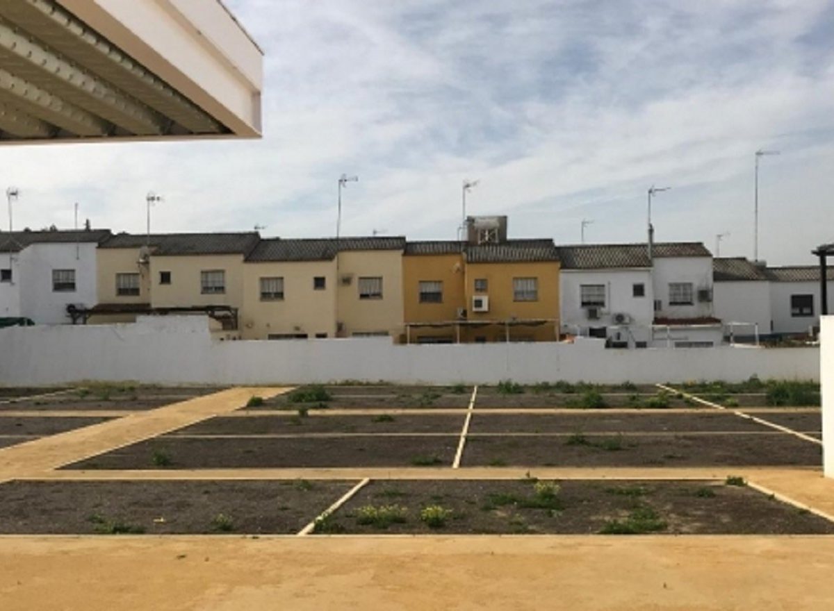 Huertos urbanos ecológicos / Ayuntamiento de Alcalá
