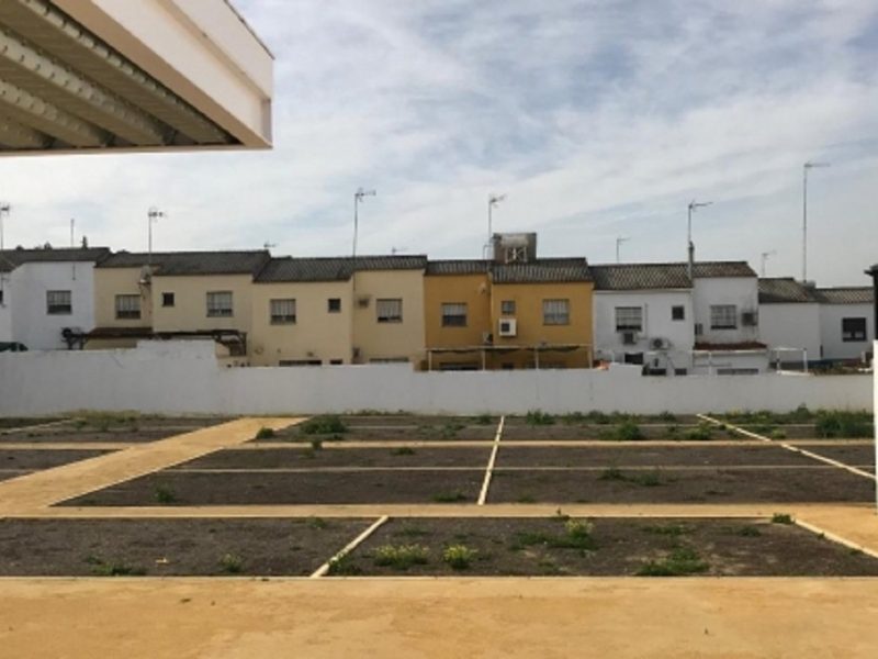 Huertos urbanos ecológicos / Ayuntamiento de Alcalá