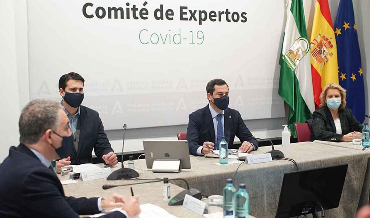 comité de expertos