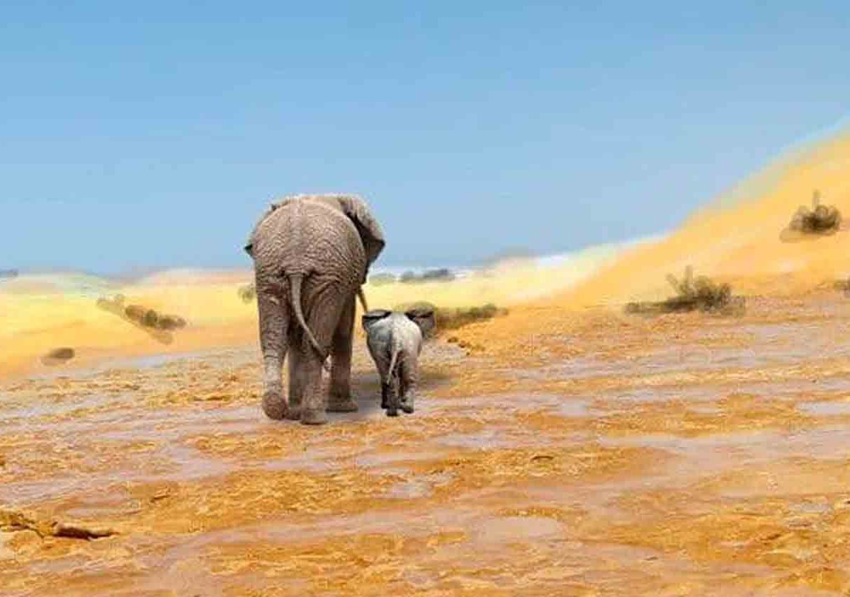 Modelo idealizado de las huellas de un Paleoloxodon hembra y su cría, en la superficie lagunar seca de Matalascañas