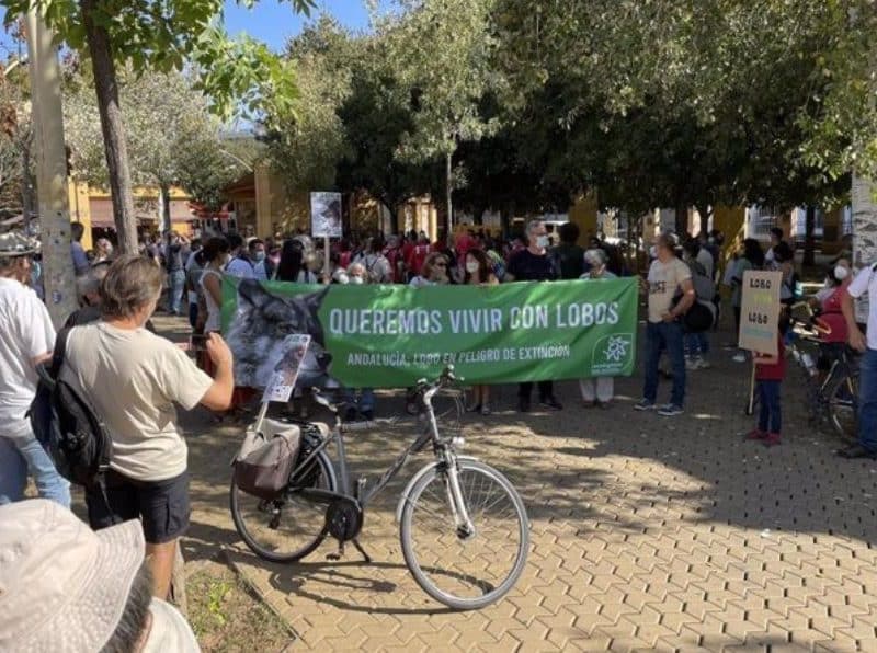 Manifestación en Sevilla / Ecologistas