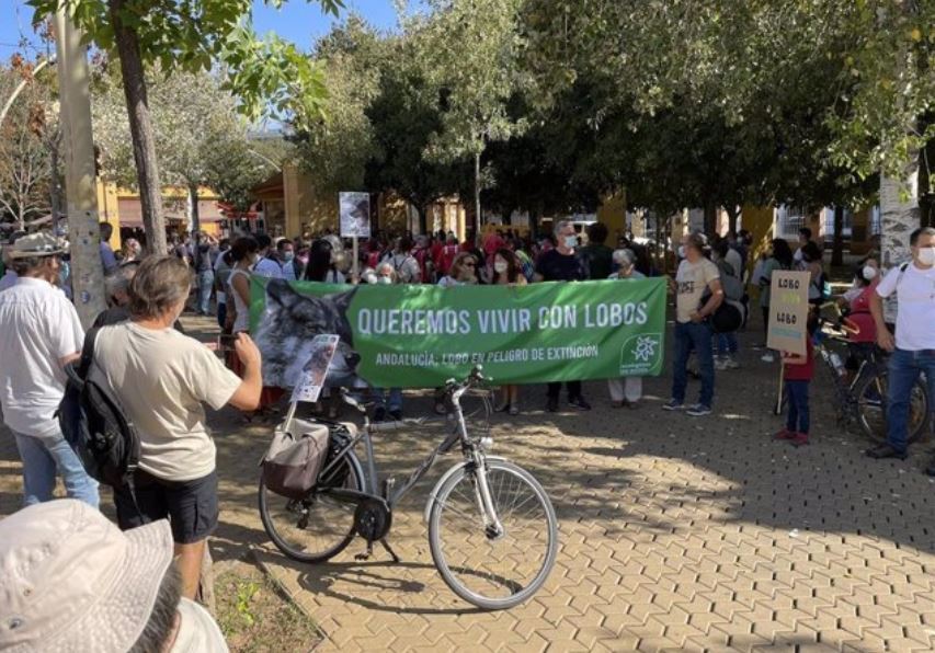 Manifestación en Sevilla / Ecologistas