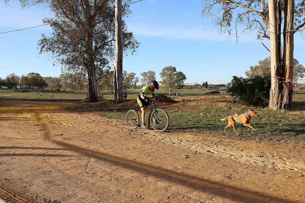 Copa de España de Mushing en Alcalá / Juan Muñoz