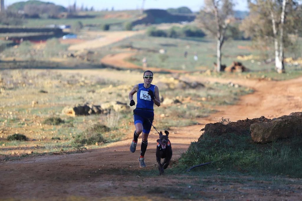 Copa de España de Mushing en Alcalá / Juan Muñoz