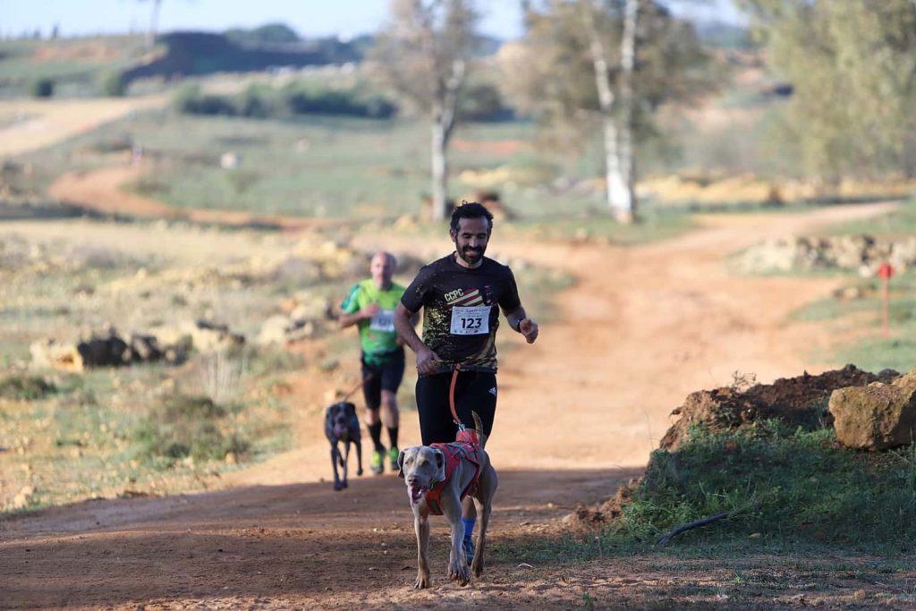 Copa de España de Mushing en Alcalá / Juan Muñoz