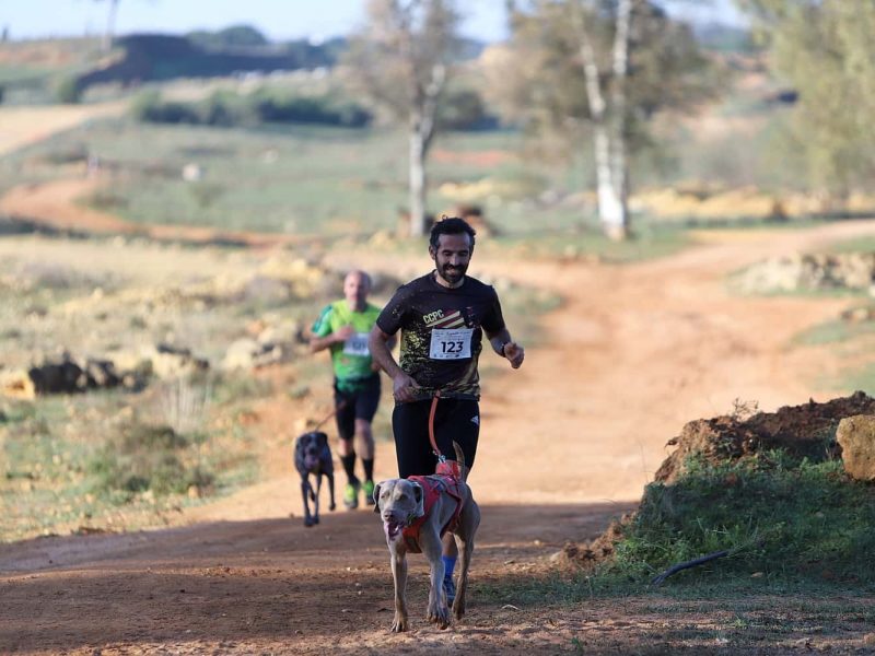 Copa de España de Mushing en Alcalá / Juan Muñoz