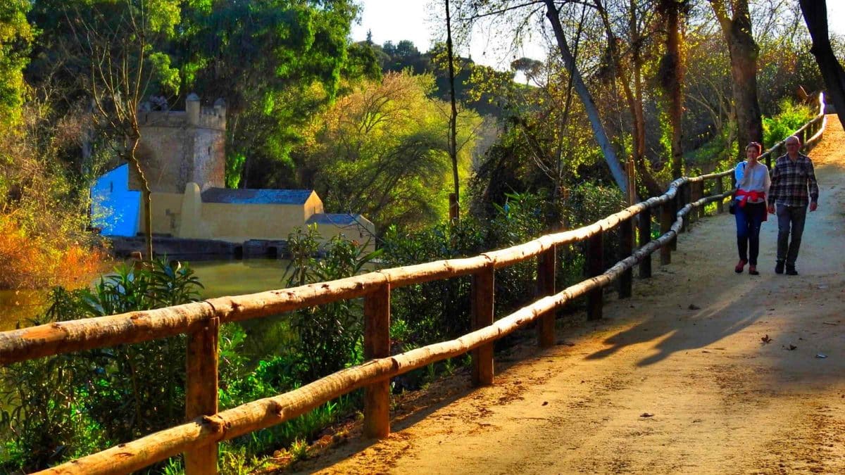 Camino en el Monumento Natural Riberas del Guadaíra