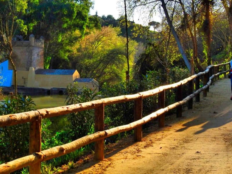 Camino en el Monumento Natural Riberas del Guadaíra