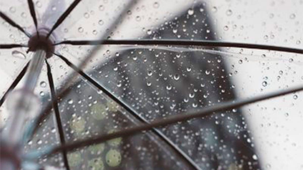 Vuelven las lluvias a Alcalá