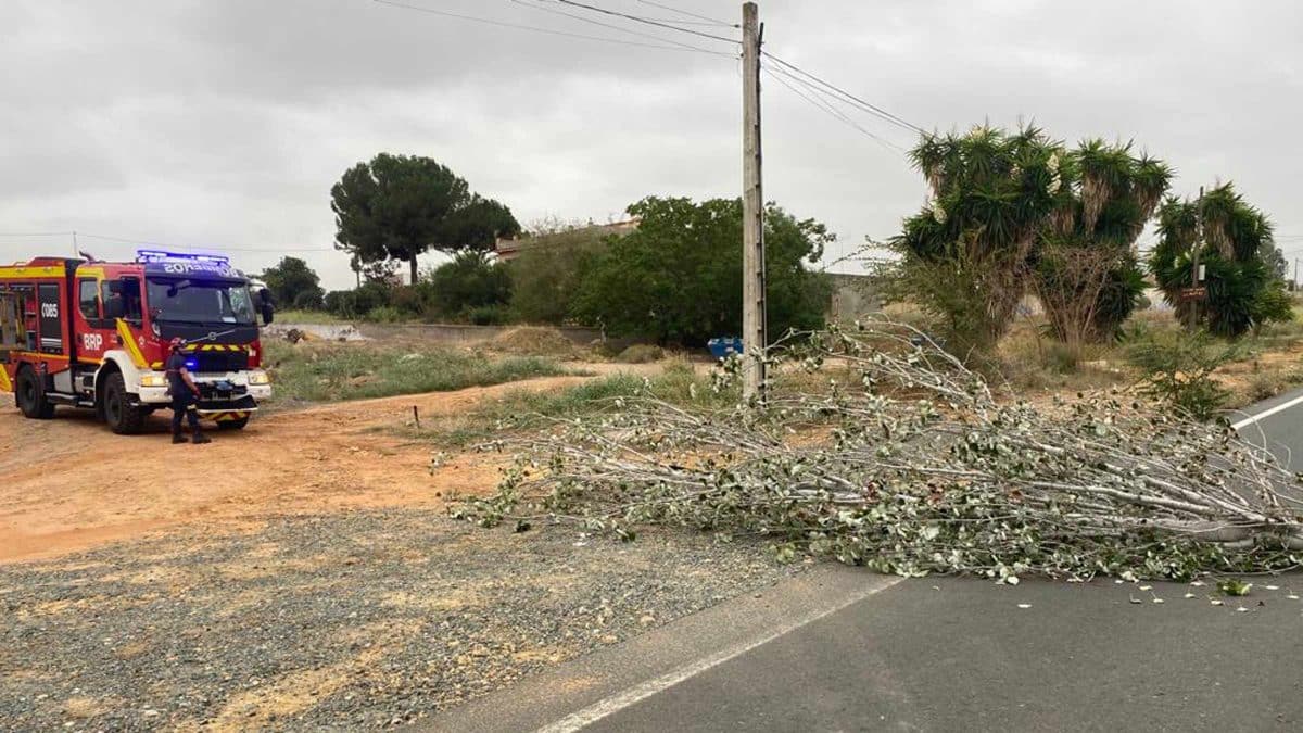 Este árbol caído impedía la circulación por la vía