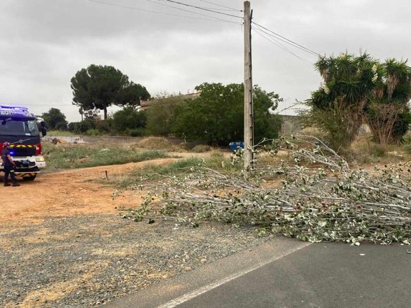 Este árbol caído impedía la circulación por la vía