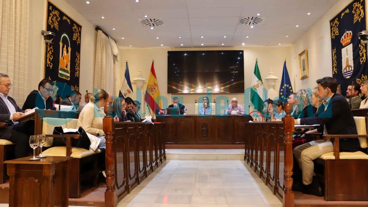 pleno ordenanzas fiscales 2024 Alcalá