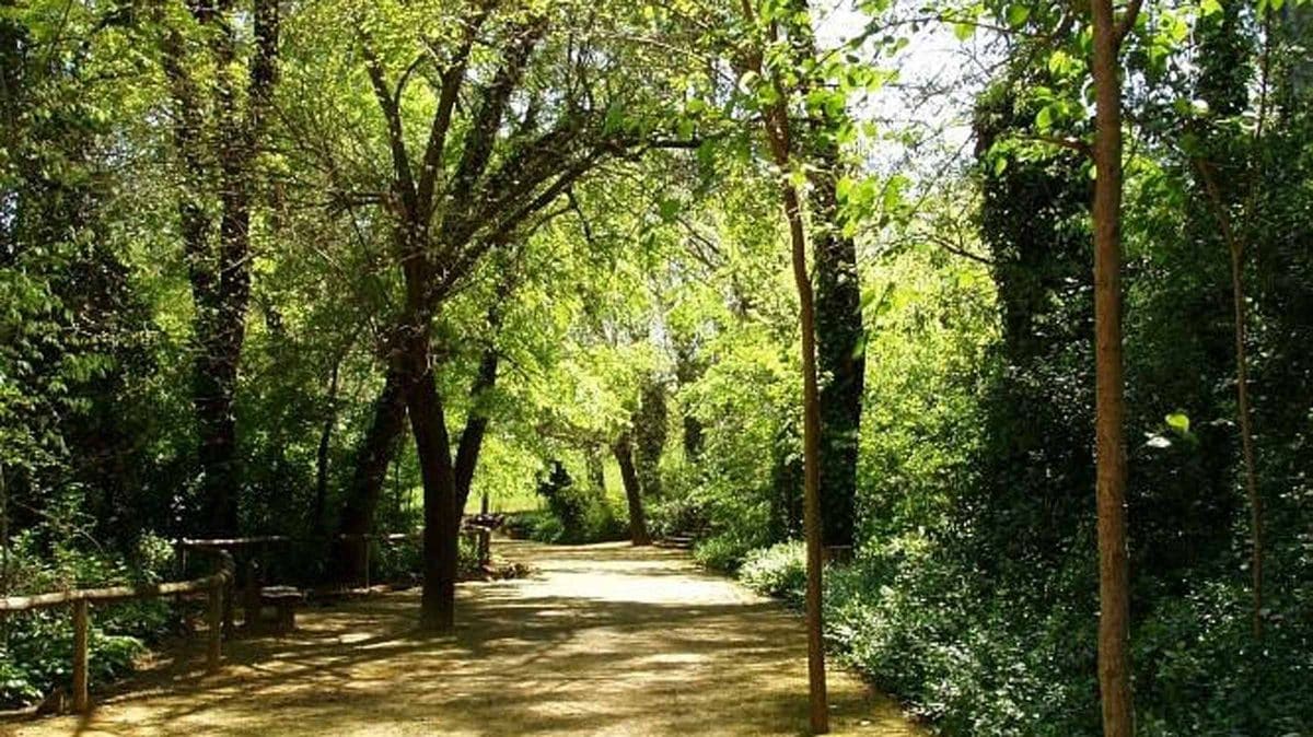 Día soleado en el parque Oromana