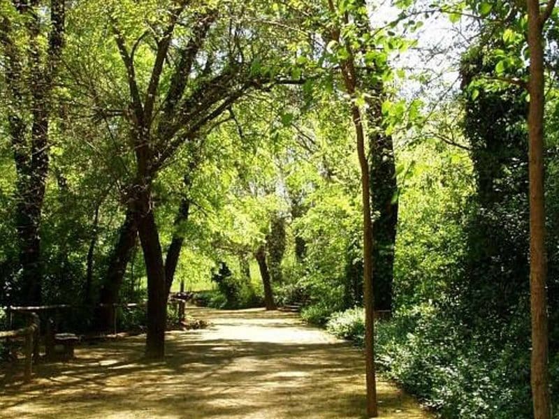 Día soleado en el parque Oromana