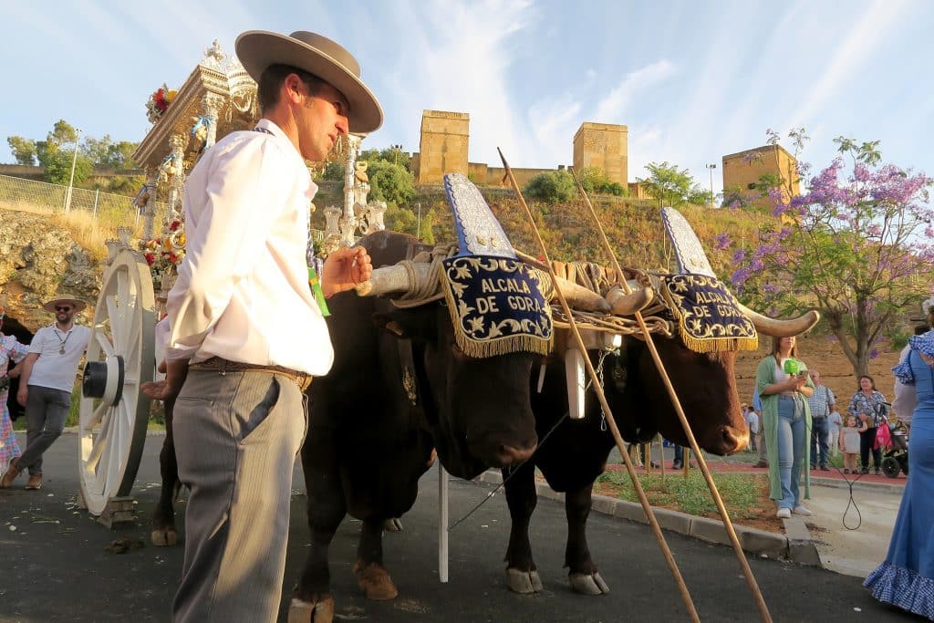 Vuelta de la Hermandad del Rocío de Alcalá. Juan Muñoz