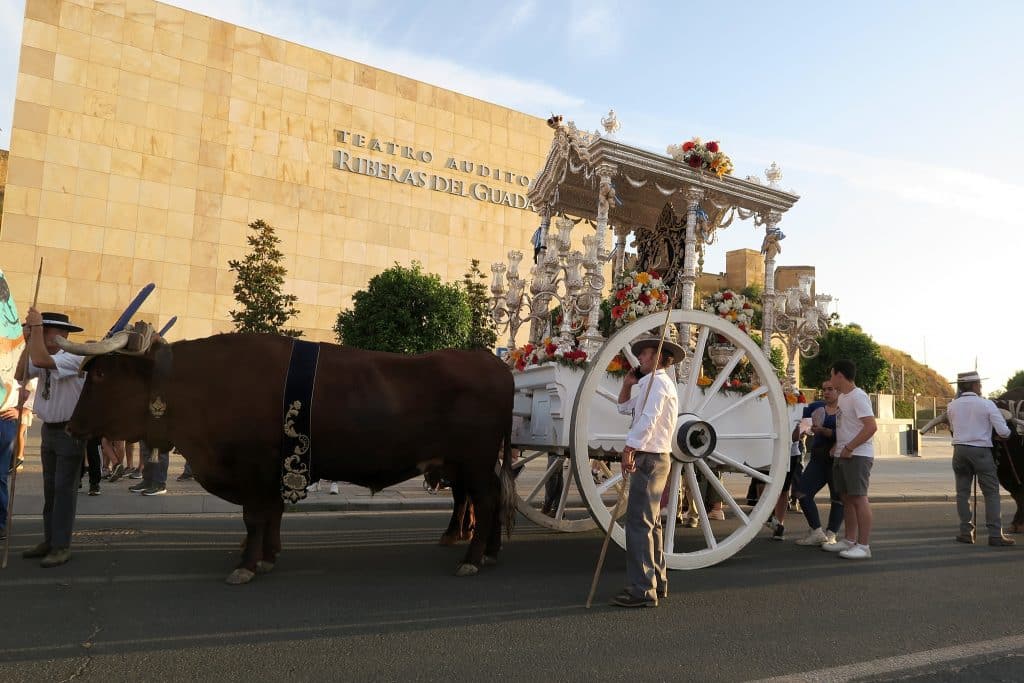 Vuelta de la Hermandad del Rocío de Alcalá. Juan Muñoz