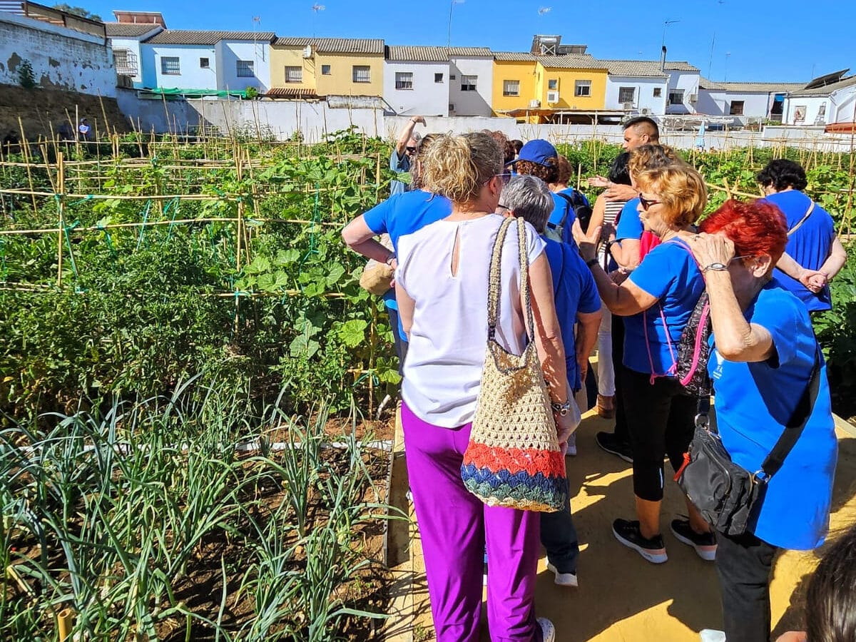 Huerto urbano ecológico en Alcalá. LVA