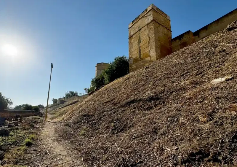 Ladera del Castillo de Alcalá. LVA