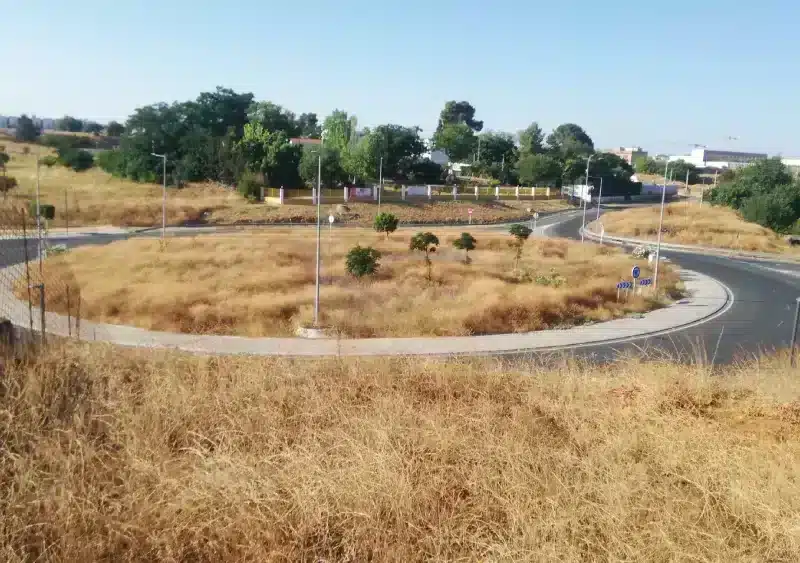 Pastos en la glorieta de la carretera de Dos Hermanas. Cedida