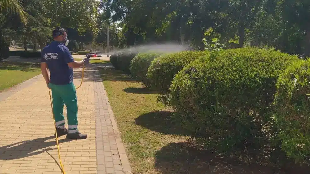 Fumigación en un parque de Alcalá - AYUNTAMIENTO DE ALCALÁ DE GUADAÍRA