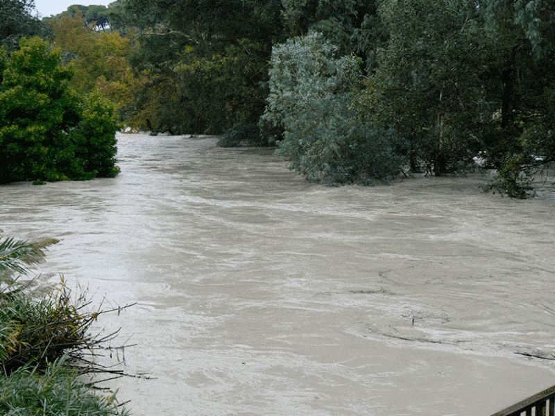 La crecida del río Guadaíra tras las lluvias en Alcalá. Álvaro Vázquez
