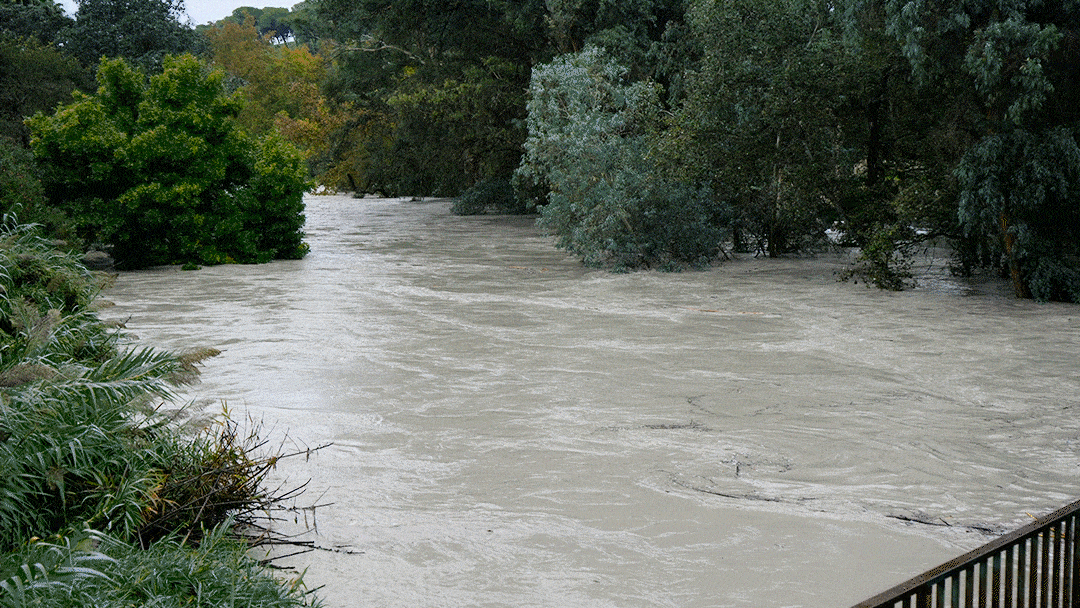 La crecida del río Guadaíra tras las lluvias en Alcalá. Álvaro Vázquez