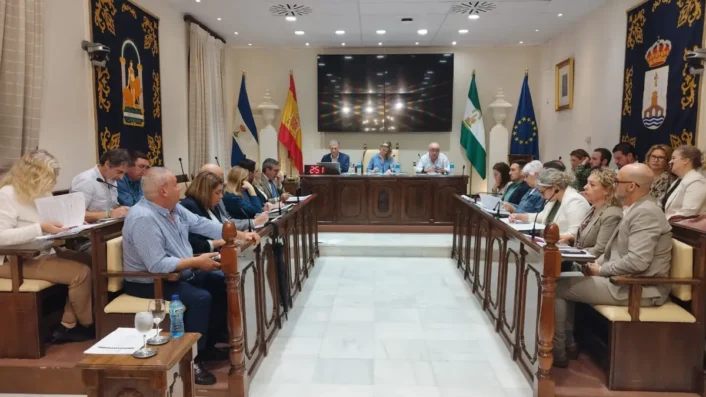 pleno alcalá octubre