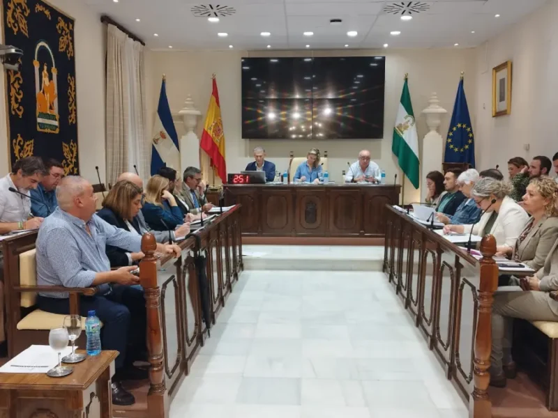 pleno alcalá octubre