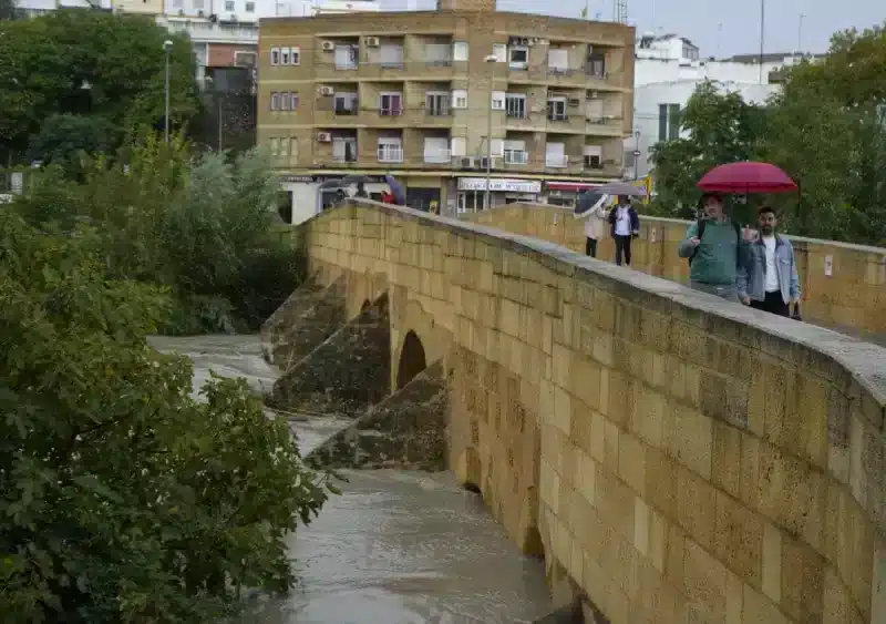 La crecida del río Guadaíra tras las lluvias en Alcalá. Álvaro Vázquez