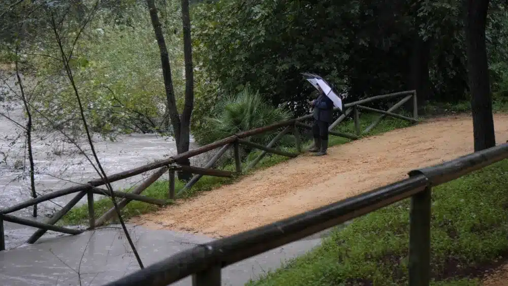 La crecida del río Guadaíra tras las lluvias en Alcalá. Álvaro Vázquez