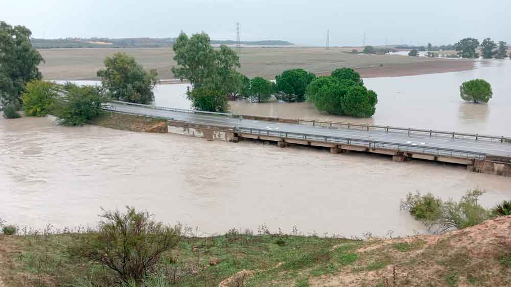 Río Guadaíra a la altura de la Vega / Cedida