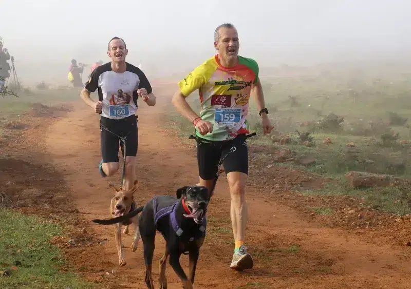 Participantes en la Copa de España de Mushing celebrada en Alcalá - Juan Muñoz