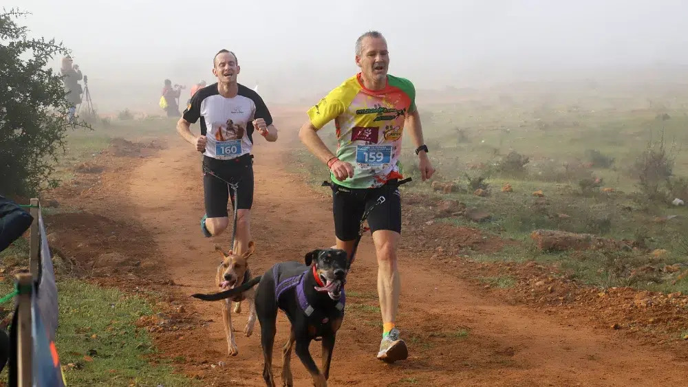 Participantes en la Copa de España de Mushing celebrada en Alcalá - Juan Muñoz