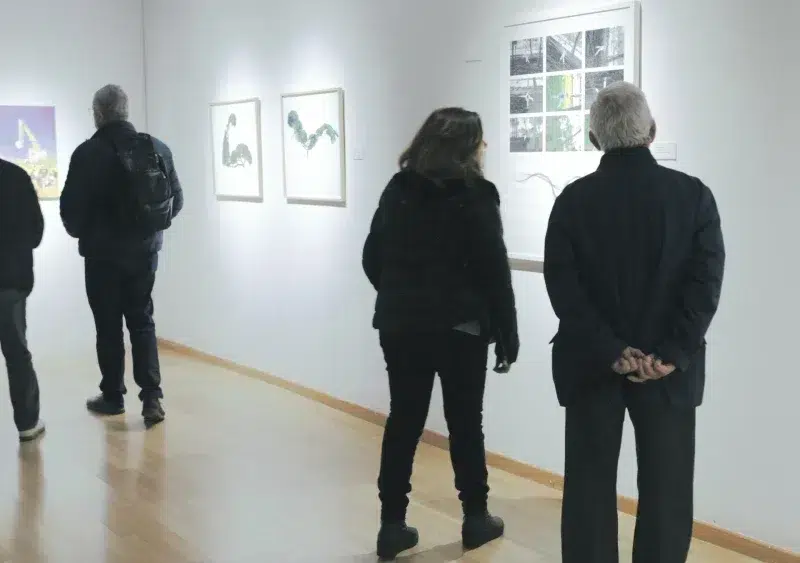 Reflejos de Doñana en el Museo - Carolina Casado