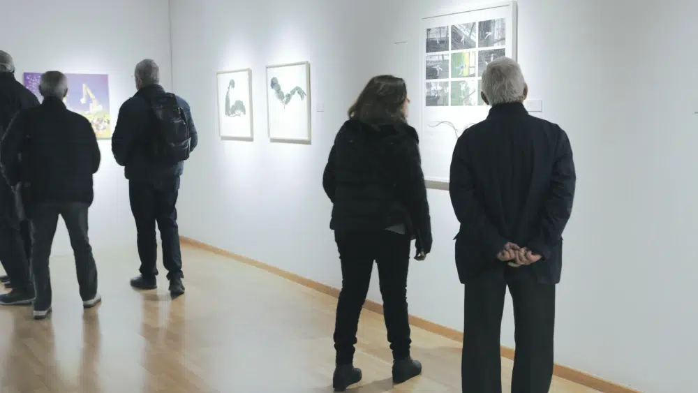 Reflejos de Doñana en el Museo - Carolina Casado