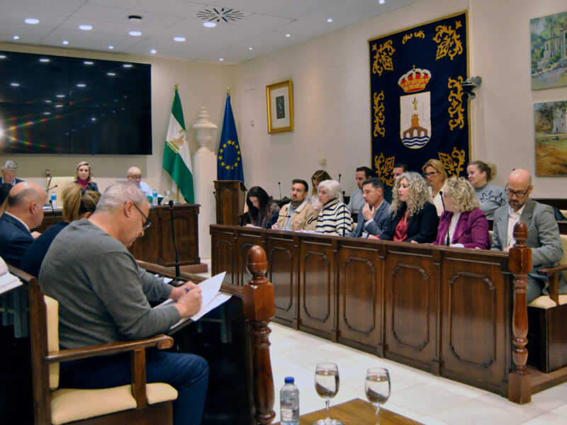 Pleno ordinario del Ayuntamiento del mes de febrero de 2025 - Fede Ramos-Izquierdo