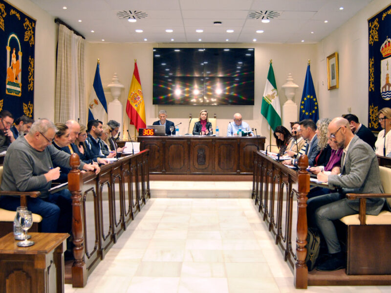 Pleno del mes de febrero del Ayuntamiento de Alcalá - Fede Ramos-Izquierdo