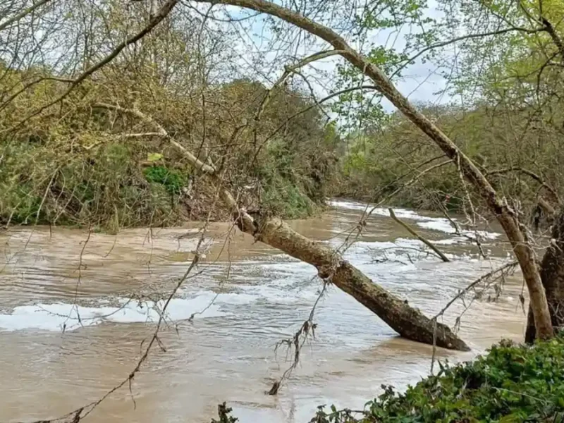 El Ayuntamiento denuncia ante el Seprona los El Ayuntamiento denuncia ante el Seprona los últimos vertidos contaminantes al río Guadaíra - Cedida