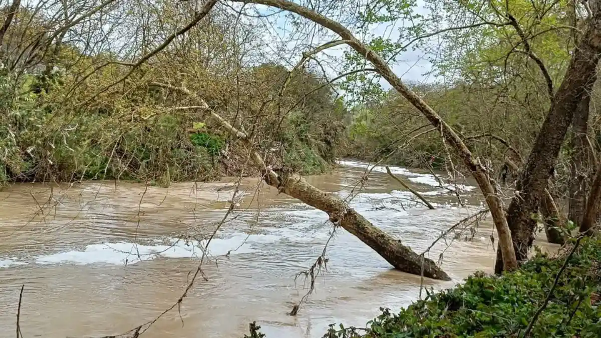 El Ayuntamiento denuncia ante el Seprona los El Ayuntamiento denuncia ante el Seprona los últimos vertidos contaminantes al río Guadaíra - Cedida